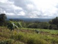 /products/terreno-para-venda-rio-da-pratinha-itaiopolis-50-alqueires-/